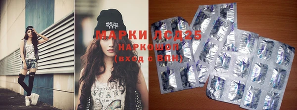 прущая мука Бородино