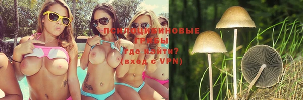 прущая мука Бородино